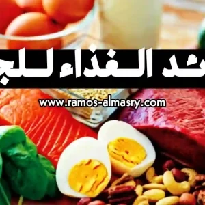 image about أهمية التغذية للجسم