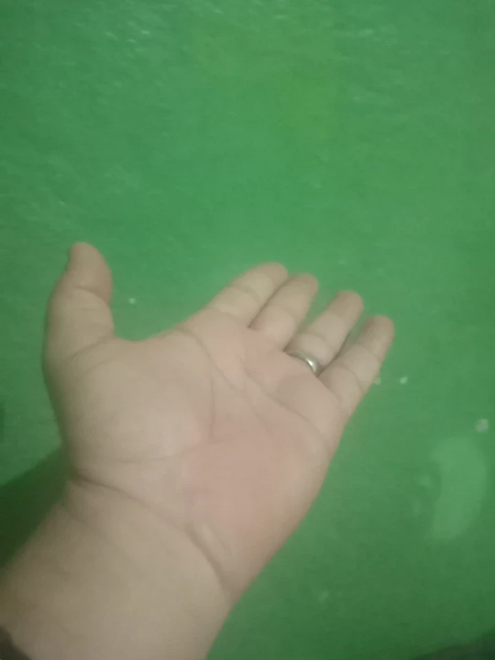 image about العدل قوام الدين والدنيا