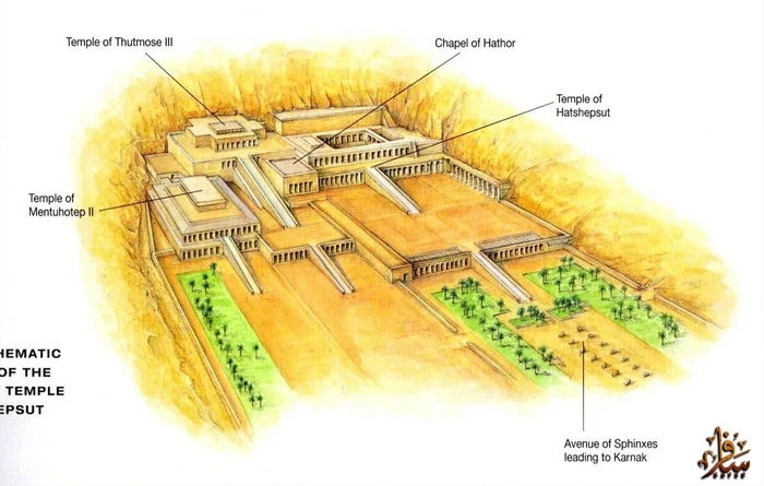 image about سننموت: مهندس الدير البحري وركيزة حكم الملكة حتشبسوت