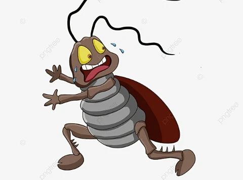 image about الفاكهه الغامضه التي لا يجب أن تأكلها