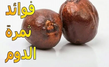 image about الفاكهه الغامضه التي لا يجب أن تأكلها