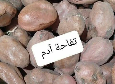 image about الفاكهه الغامضه التي لا يجب أن تأكلها