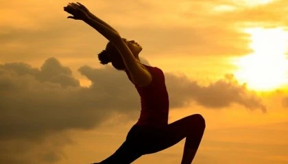 image about ما الفرق بين ثقافة الانسجام والصحة؟