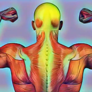 image about أسباب آلام العضلات - تدابير وعلاجات لألم العضلات - الوقاية من آلام العضلات