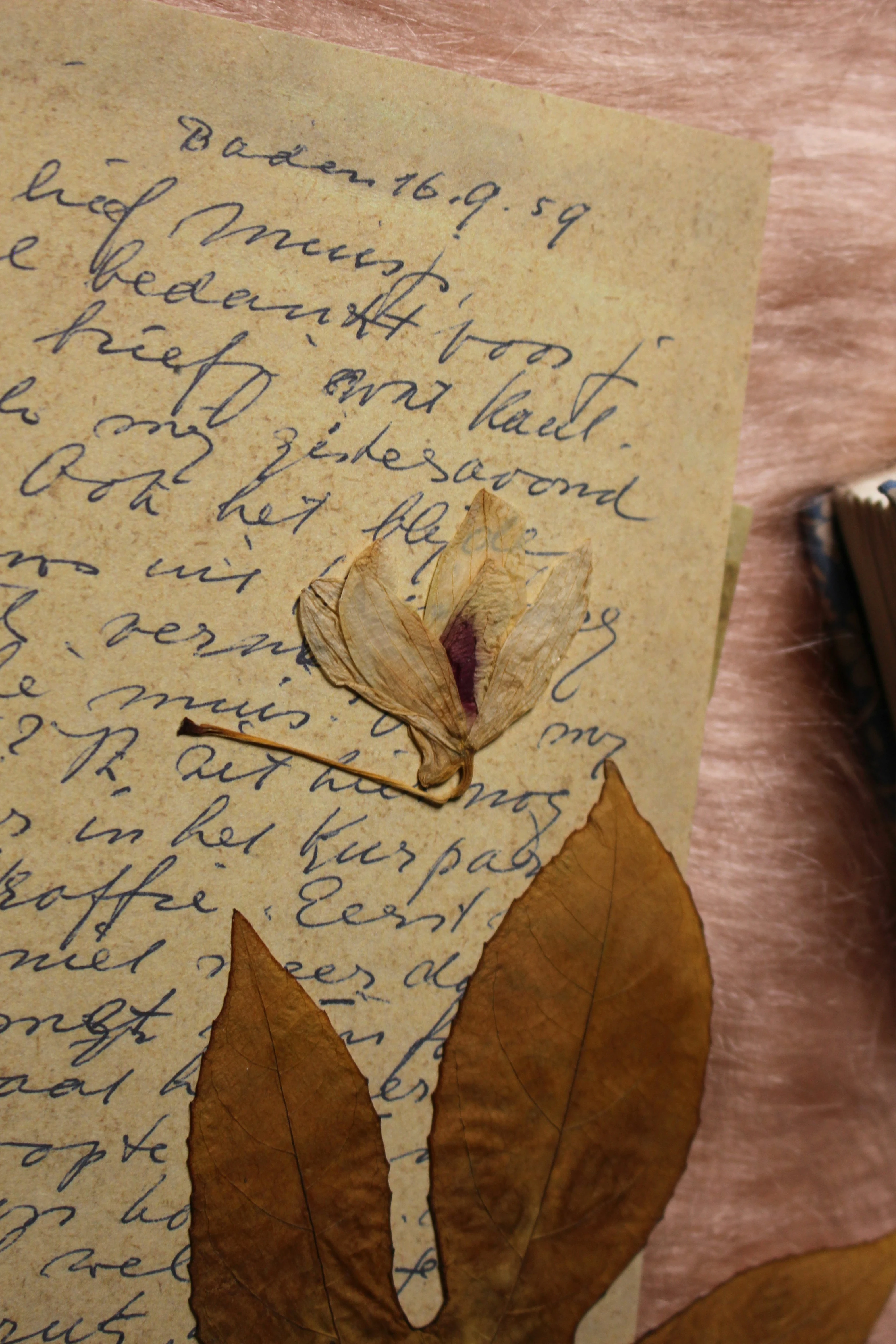 image about الشعر: الصورة العميقة للواقع ومنزلة