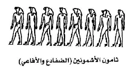 image about مجمع الآلهة الاشمونية الثمانية الكبري