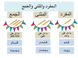 image about شرح قواعد نحوية ( المفرد - المثني - الجمع )