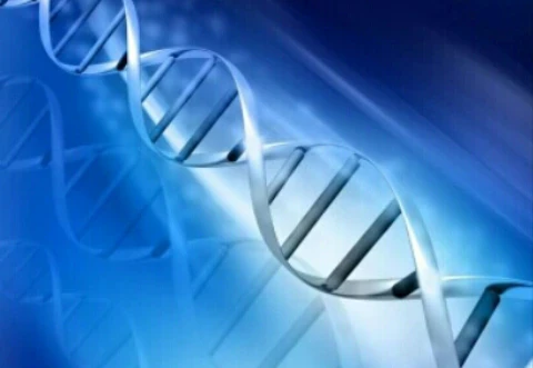 image about الميوستاتين الجين المتحور الذي يمنح قوة خارقة.