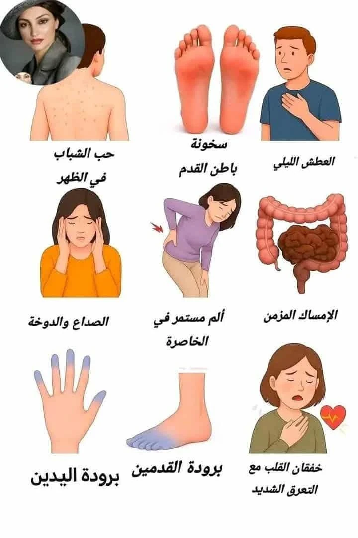 image about أهم الفيتامينات بعد الأربعين: سر استعادة الشباب وحماية القلب والعينين والبشرة والشعر”