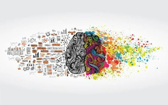 image about سر نجاح العلاقات في الذكاء العاطفي, هل الكلام ده صحيح ؟جانب طبي وعصبي في الذكاء العاطفي