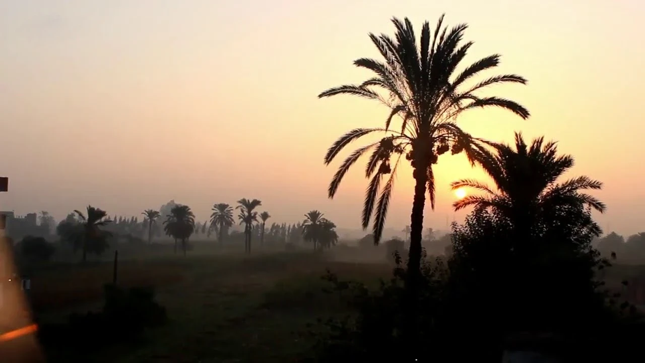 image about القلم والكاتب( قصه خياليه )