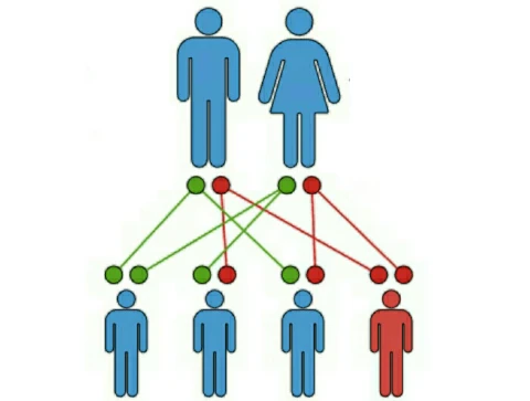 image about الاضطراب الوراثي الذي يسرق القدرة على الشعور بالخوف.