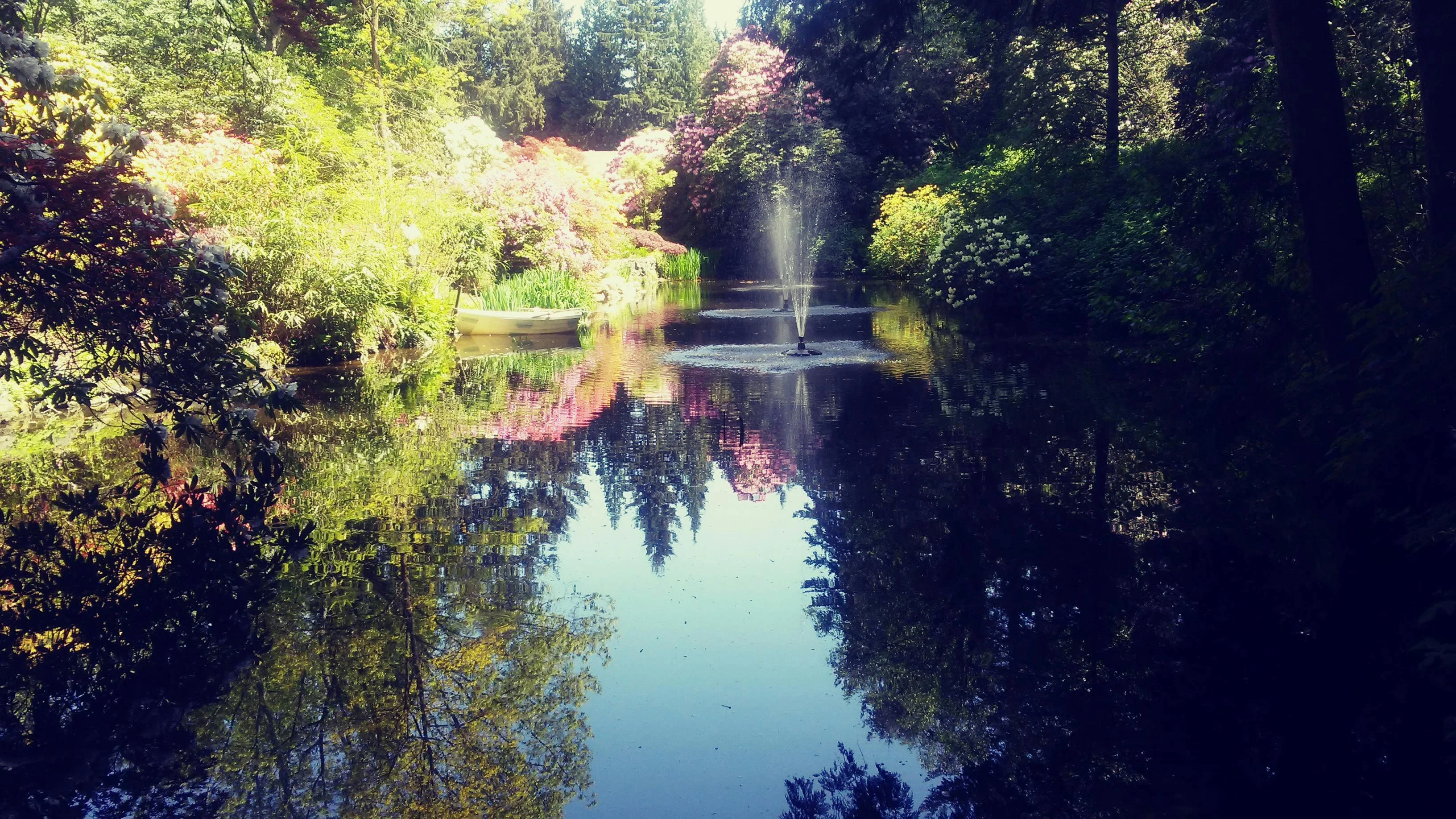 image about 🔍 10 حقائق غريبة ولكن حقيقية هتخليك تعيد التفكير في كل حاجة تعرفها