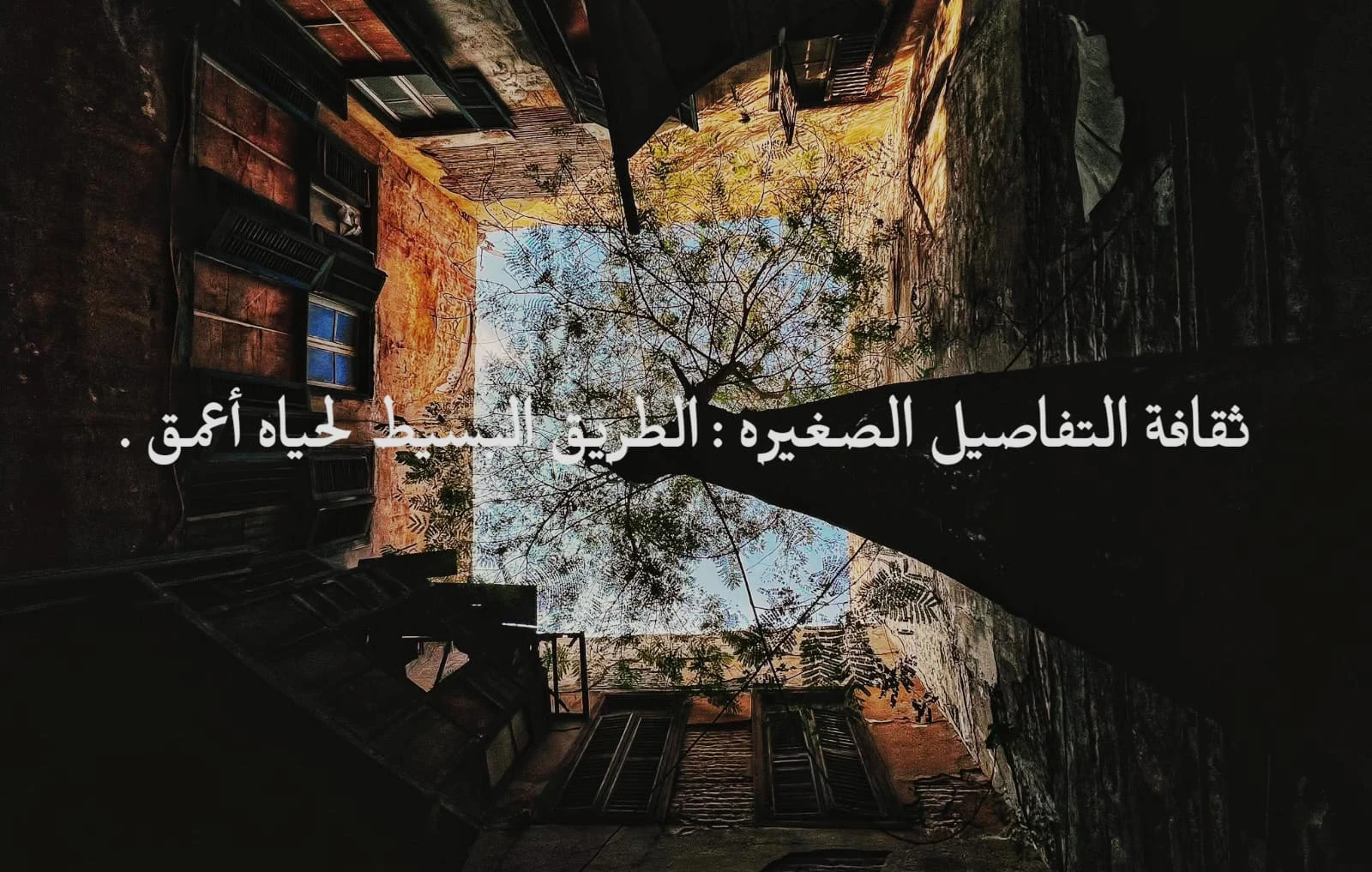 image about ثقافة التفاصيل الصغيرة: الطريق البسيط لحياة أعمق