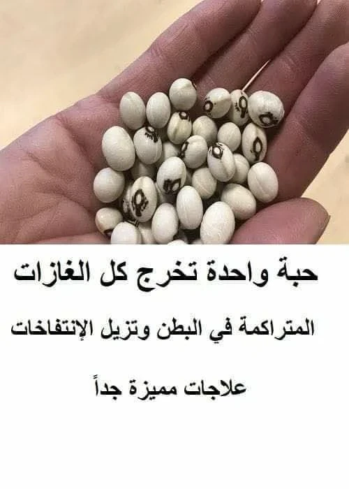 image about حبة واحدة تزيل الانتفاخ والغازات فوراً: علاج طبيعي آمن ومدعوم بالتجارب والنصائح الصحية