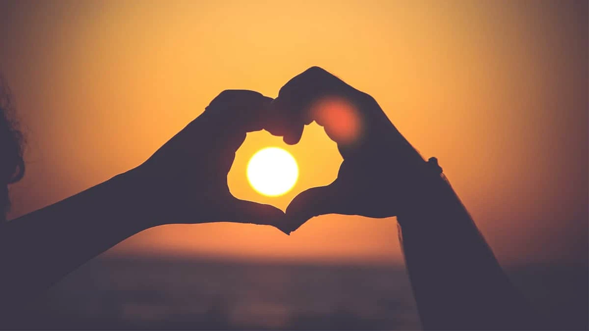 image about لماذا نفقد أحيانا العاطفة لما نحب وكيف نشعر به مرة أخرى