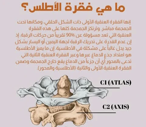 image about البطل الخارق الذي يحمل جمجمتك