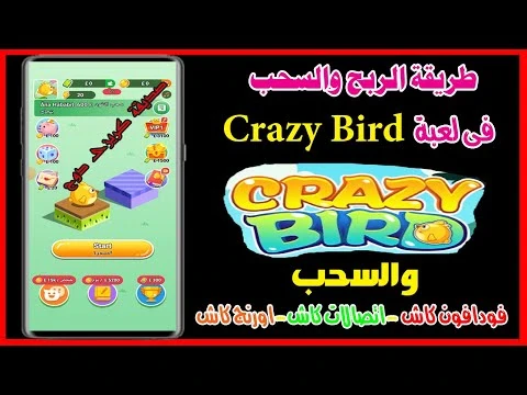 image about استمتع بالربح المالي من لعبة الطيور المجنونة Crazy Bird