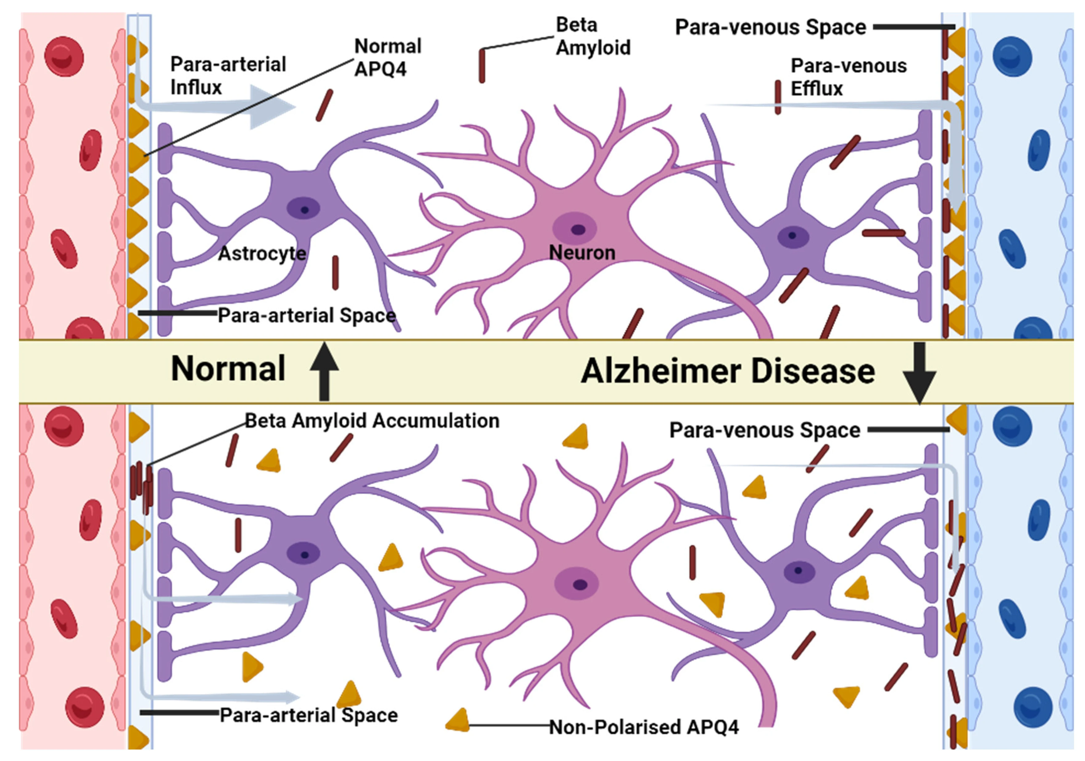 image about السهر… هو المدمّر الأساسي لصحتك وإنت مش واخد بالك