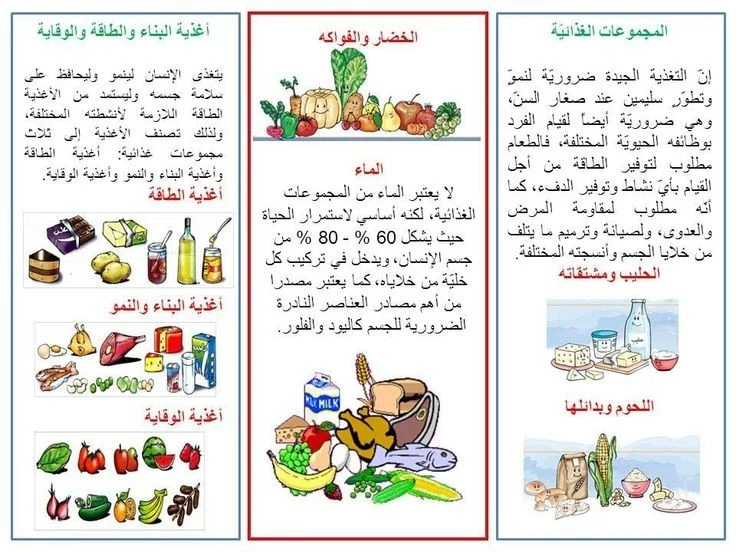 image about التغذية الصحية وأثرها على الجسد والعقل