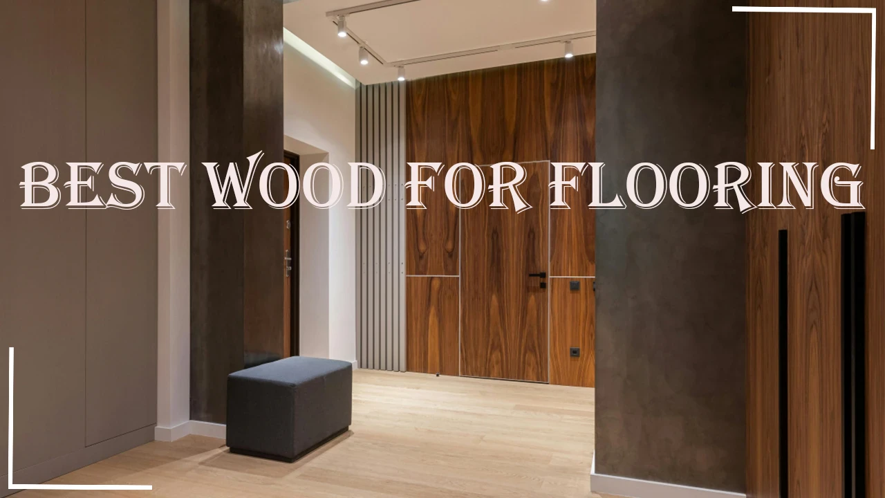 image about Best Wood for Flooring - Everything About the Best Wood for Flooring