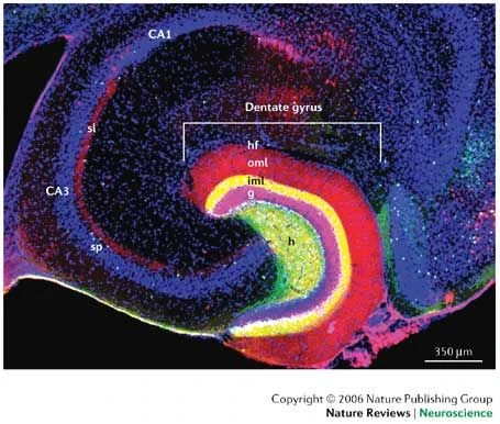image about قوة الملل: ليه الفراغ هو الشرارة اللي تشعل الإبداع في دماغك؟