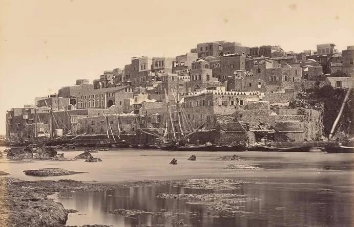 image about رواية: بيوت على شاطئ الذاكرة