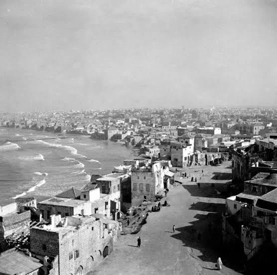 image about رواية: بيوت على شاطئ الذاكرة