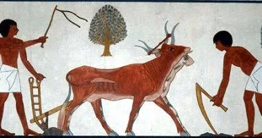 image about قصة الفلاح الفصيح من التاريخ المصري القديم 