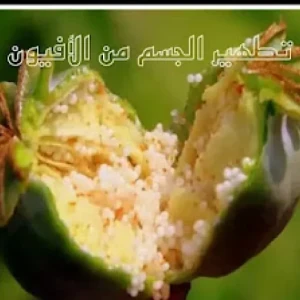 image about تطهير الجسم بعد الإقلاع عن الأفيون