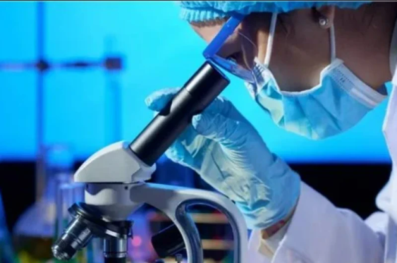 image about كل ما تحتاج معرفته عن فيروس ماربوغ الجديد 