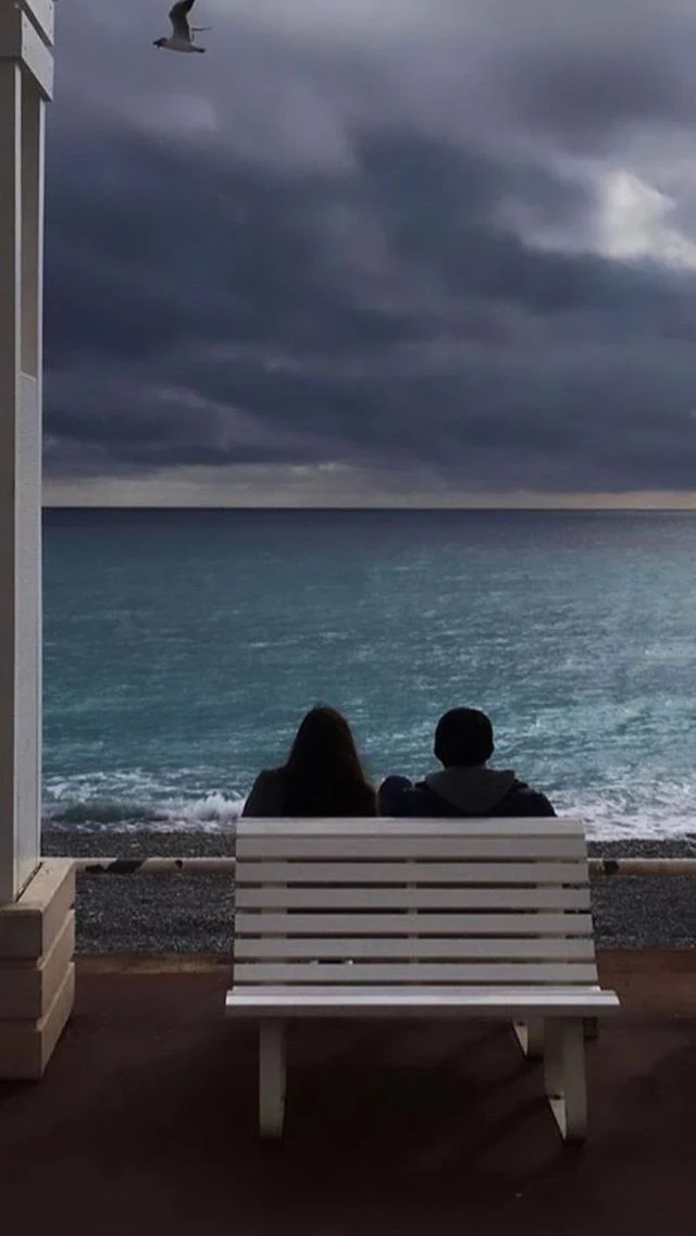 image about نبضات في ليلة ممطرة 