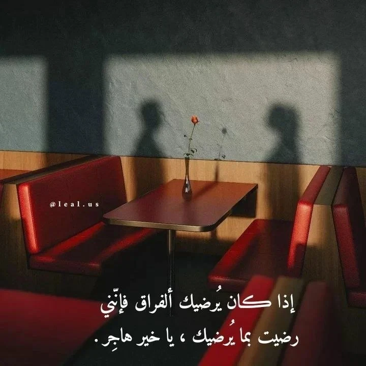 image about نبضات في ليلة ممطرة 