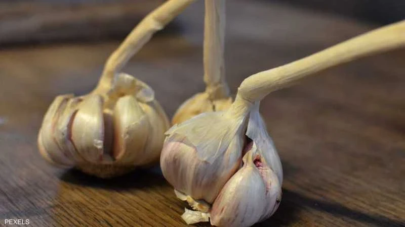 image about دراسات علمية: الثوم سلاح سري لعلاج مرض العصر