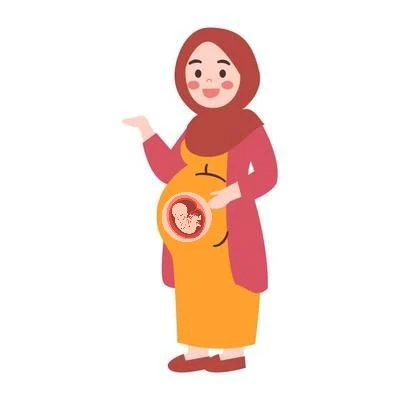 image about دليل الأم في كل مراحل الحمل: العناية بالجنين من بداية الحمل حتى الولادة 