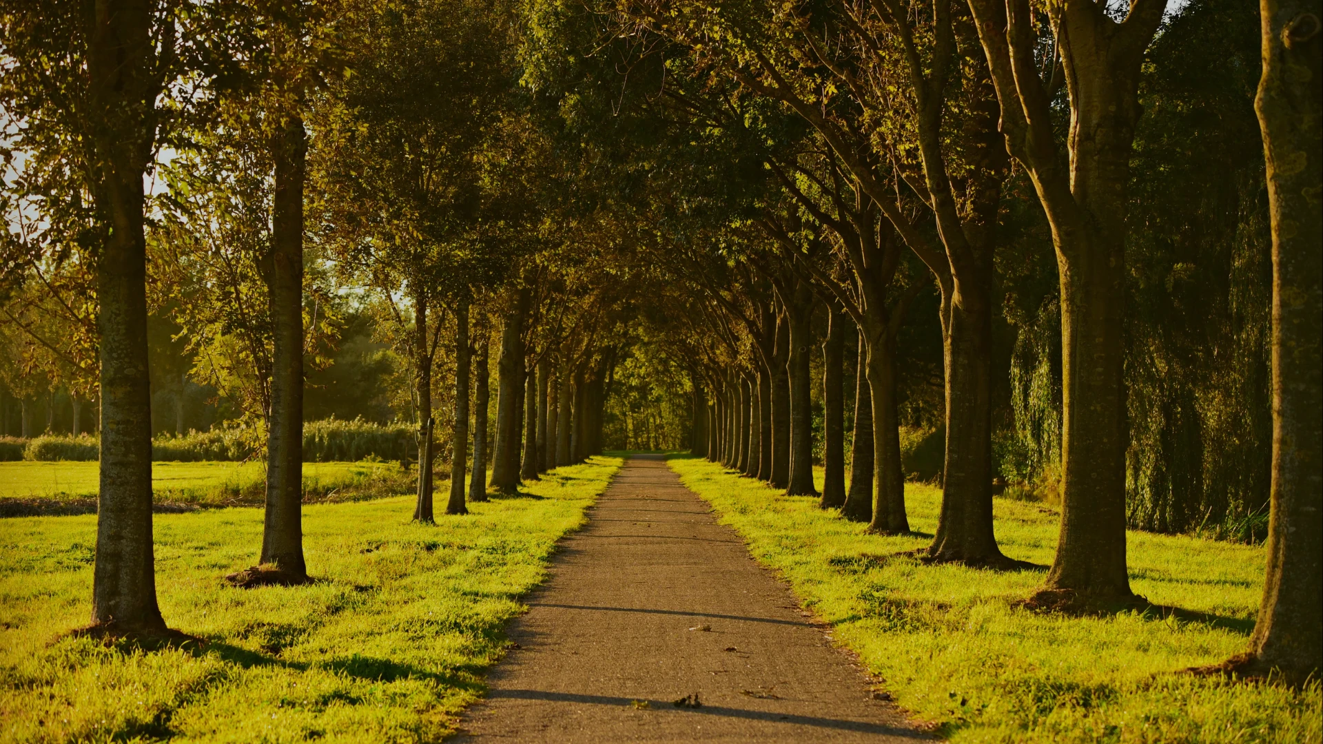 image about لماذا يفشل معظم الناس في تغيير حياتهم؟