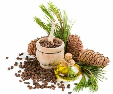 image about الشجره المعمره وكنوزه الغذائيه والعلاجيه