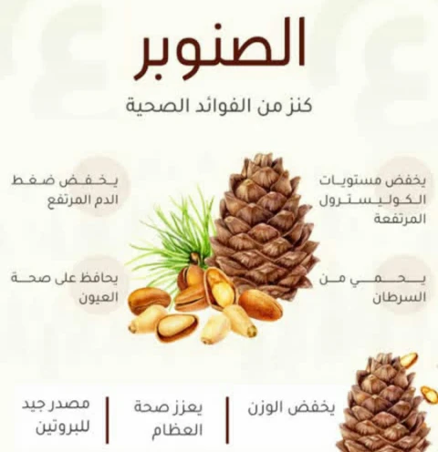 image about الشجره المعمره وكنوزه الغذائيه والعلاجيه
