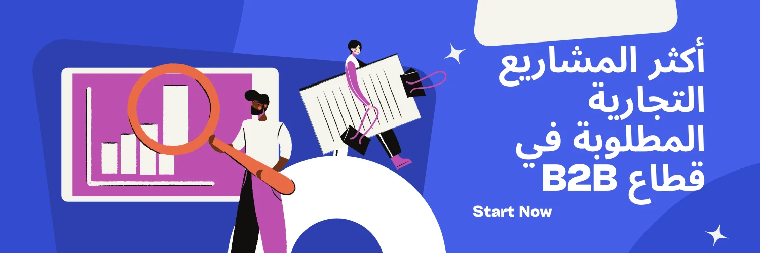 image about أكثر المشاريع التجارية المطلوبة في قطاع B2B في مصر عام 2025