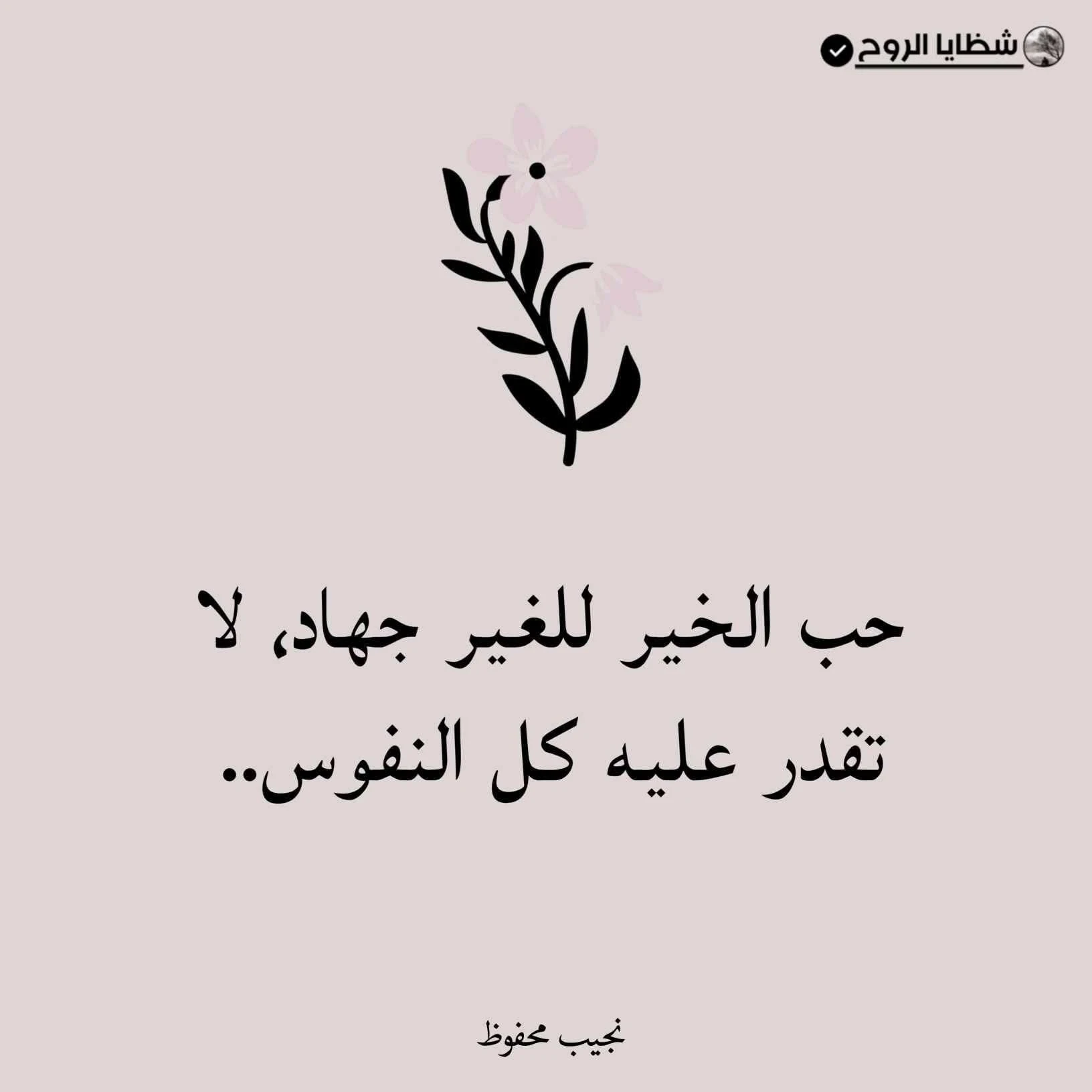 image about الصدقة… عبادة تزكّي النفس وتنمّي المجتمع…