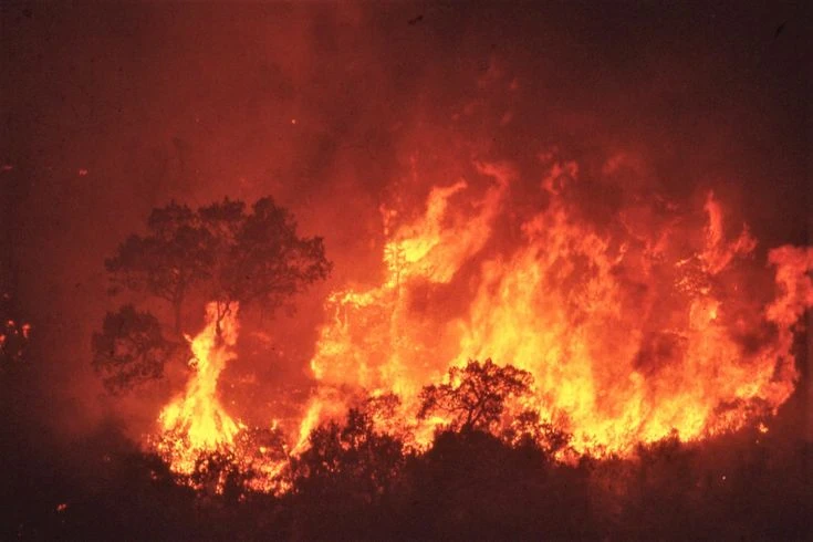 image about تأثير العزلة على الإبداع عند الشباب: رحلة داخل العقل الهادئ