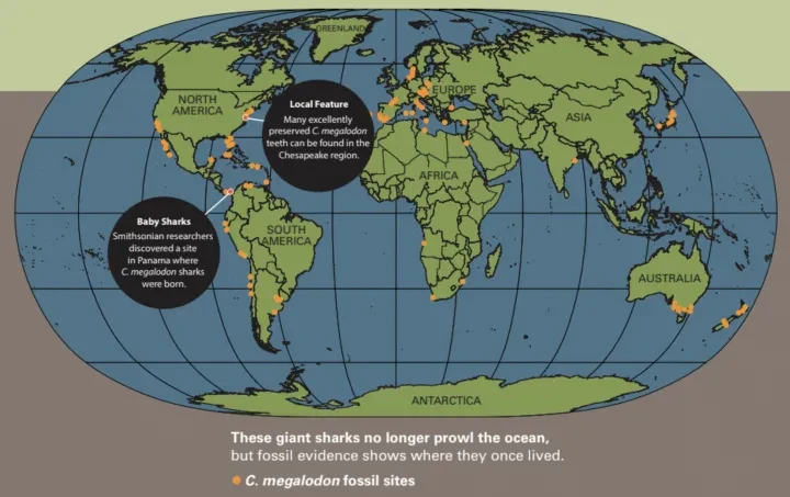 image about الميجالودن وكيف كان يعيش 