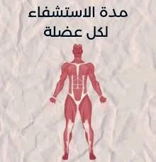 image about اهم اسباب زيادة القوة العضليه
