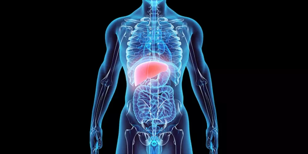 image about إذا كنت تشعر بالانتفاخ ونقص الطاقة ، فقد تأتي المشكلة من كبدك ، وفقا لبابلو أوجيدا: كيف تعتني بها؟