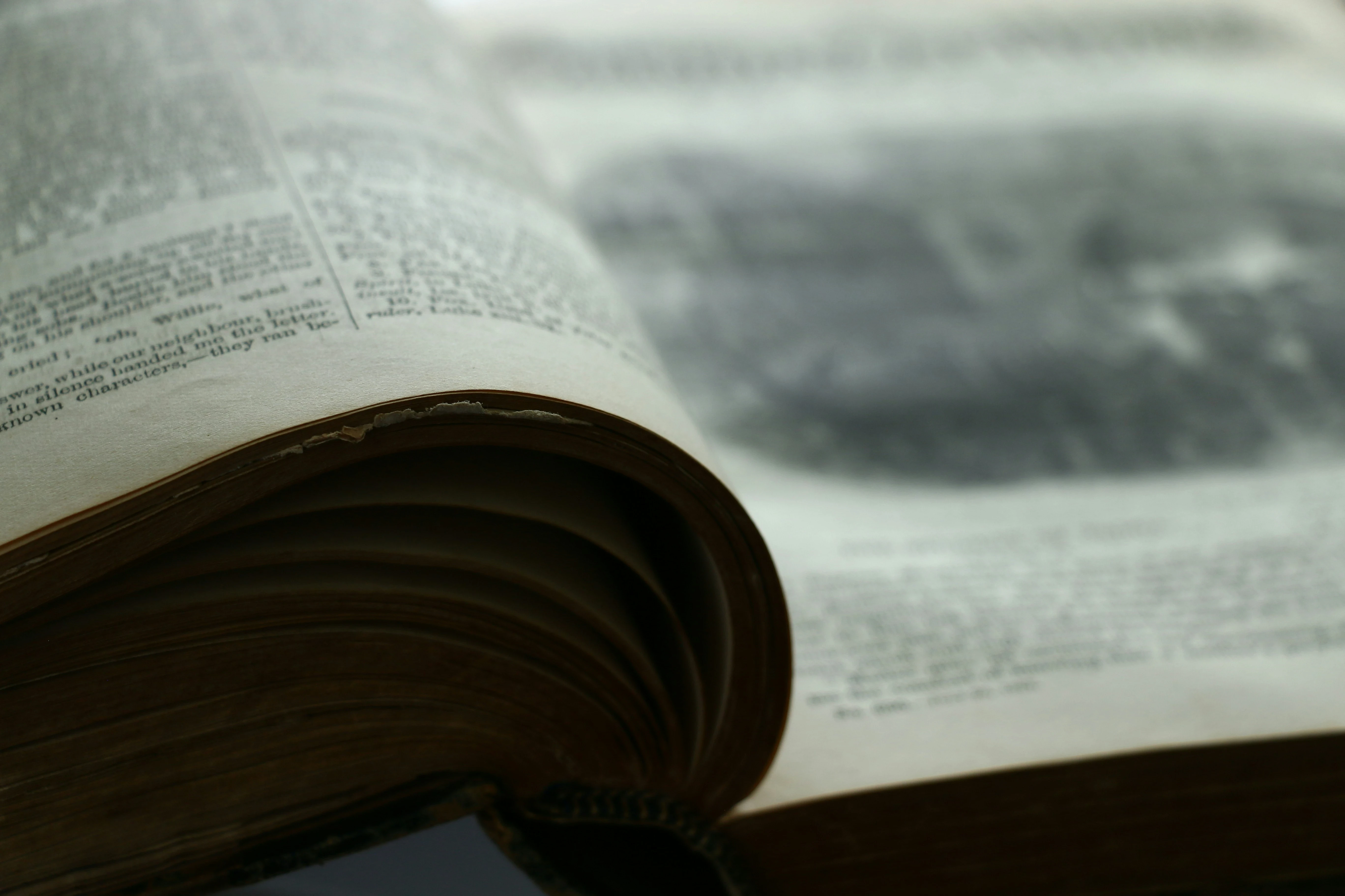 image about قصة مغامرة الخريطة السحرية وقصة أصدقاء تحت شجرة الحكمة