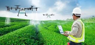 image about لماذا تعد الزراعة المستدامة مستقبل الزراعة؟