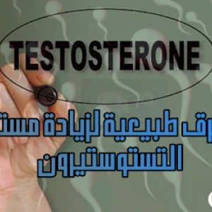image about 6 طرق طبيعية لزيادة مستوى هرمون الذكورة - التستوستيرون عن طريق الأطعمة المغذية