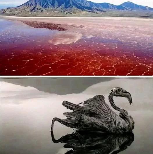 image about أغرب وأروع العجائب الطبيعية والتقاليد والأماكن الغريبة في العالم