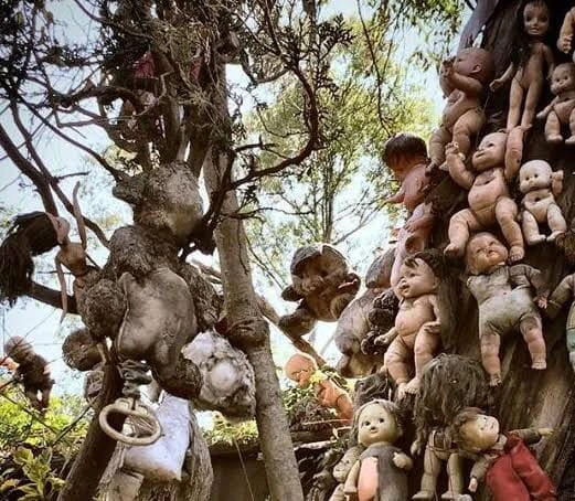 image about أغرب وأروع العجائب الطبيعية والتقاليد والأماكن الغريبة في العالم