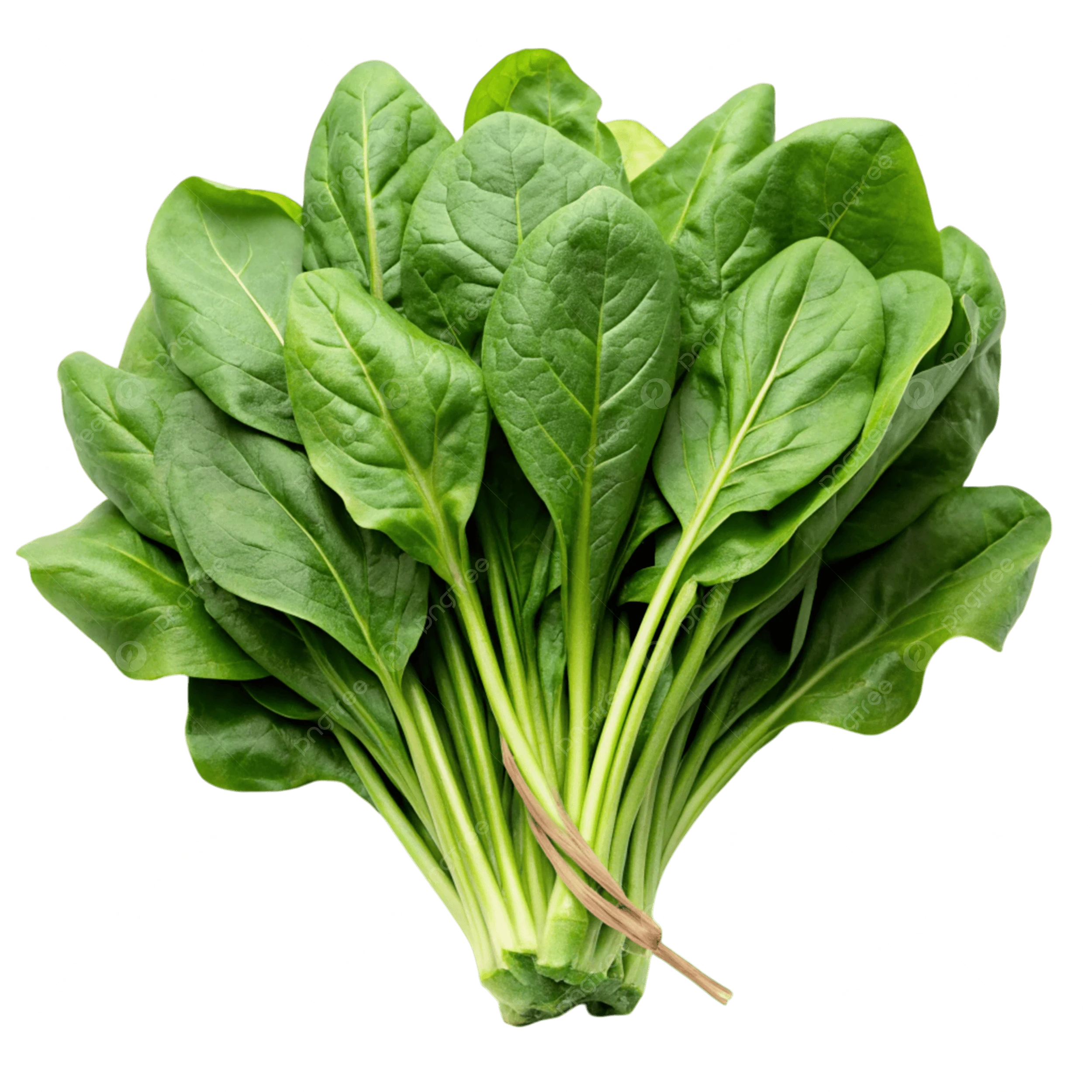 image about فوائد السبانخ و اضرارها